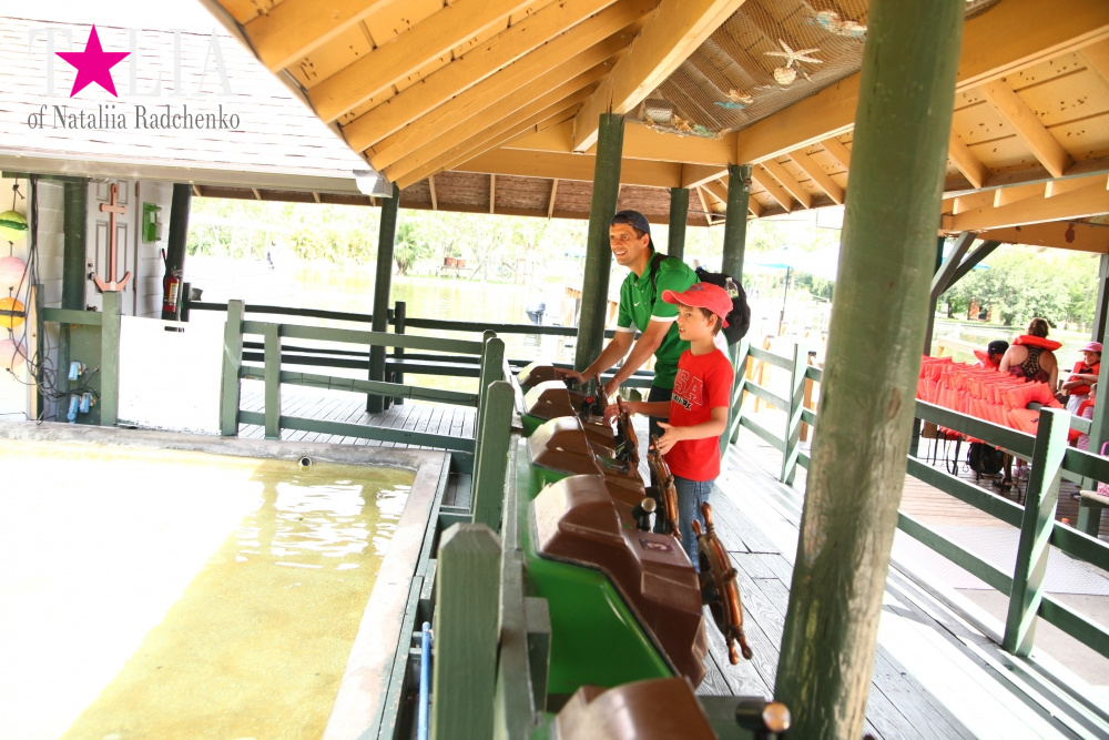 Мини-гольф и другие развлечения Страны Львов, Флорида