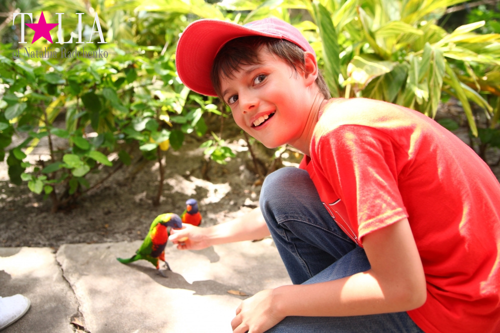 Кормление попугаев в сафари-парке Страна Львов, Майами, Флорида