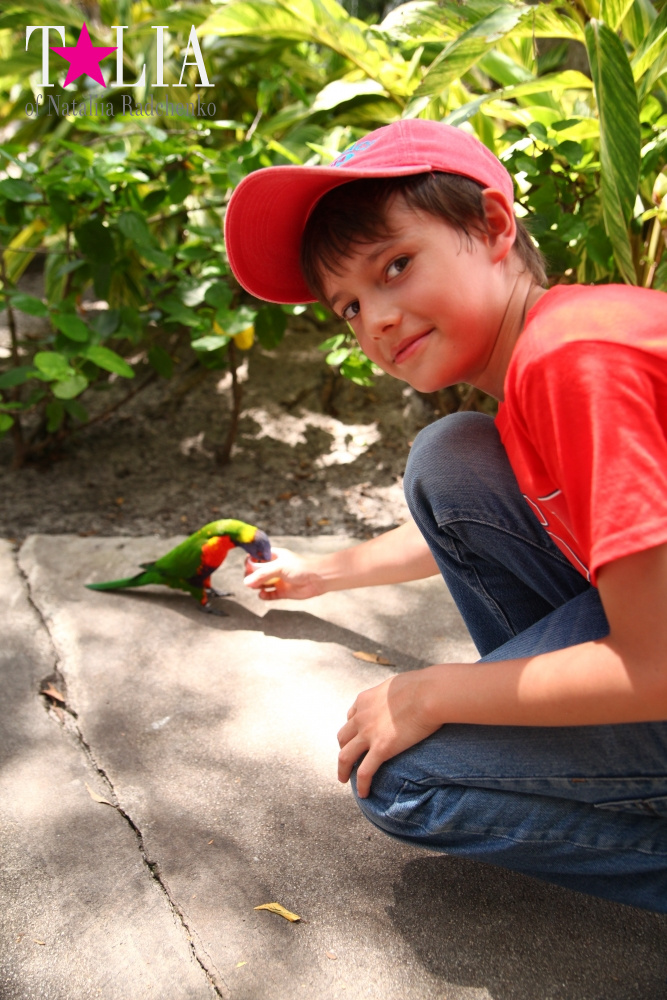 Кормление попугаев в сафари-парке Страна Львов, Майами, Флорида