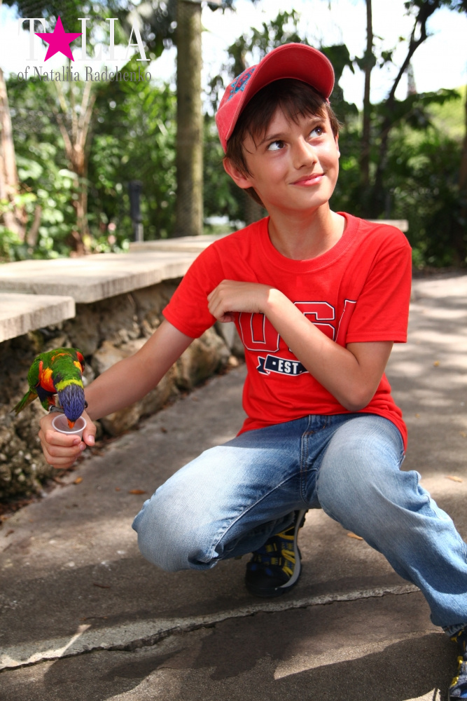 Кормление попугаев в сафари-парке Страна Львов, Майами, Флорида