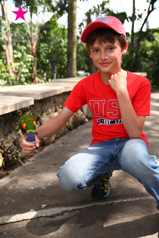 Кормление попугаев в сафари-парке Страна Львов, Майами, Флорида