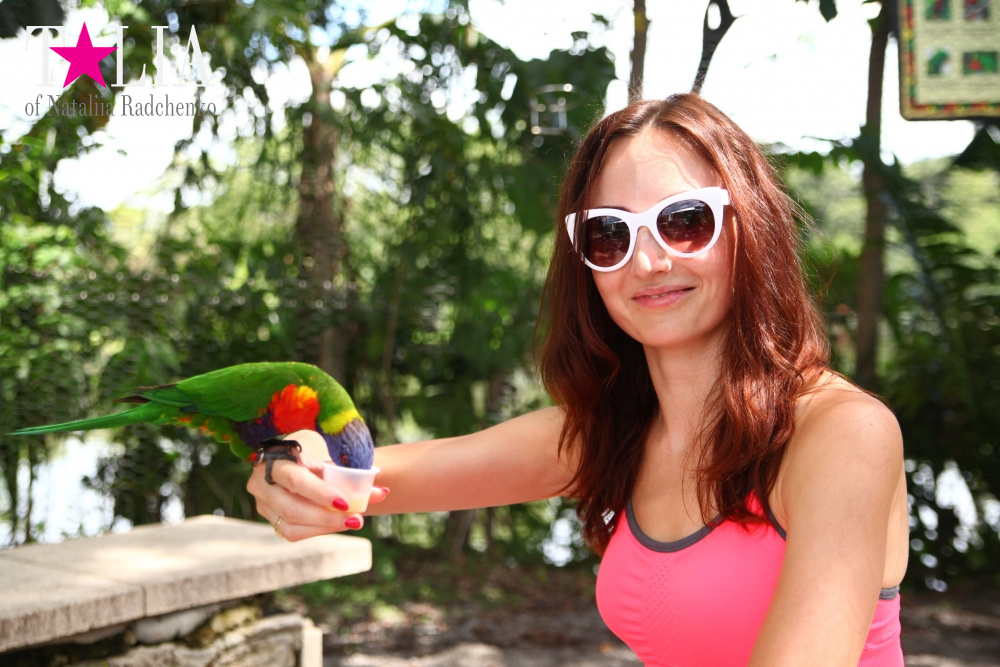 Кормление попугаев в сафари-парке Страна Львов, Майами, Флорида