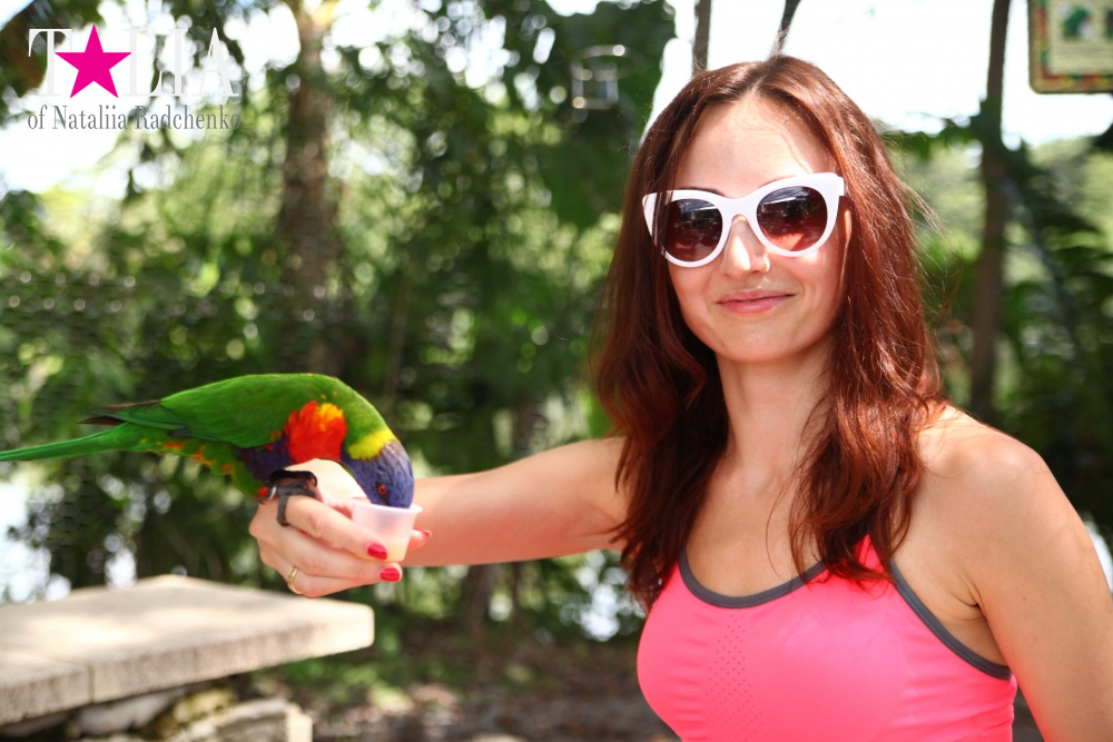 Кормление попугаев в сафари-парке Страна Львов, Майами, Флорида