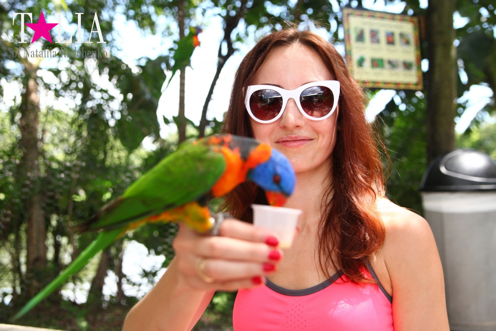 Кормление попугаев в сафари-парке Страна Львов, Майами, Флорида
