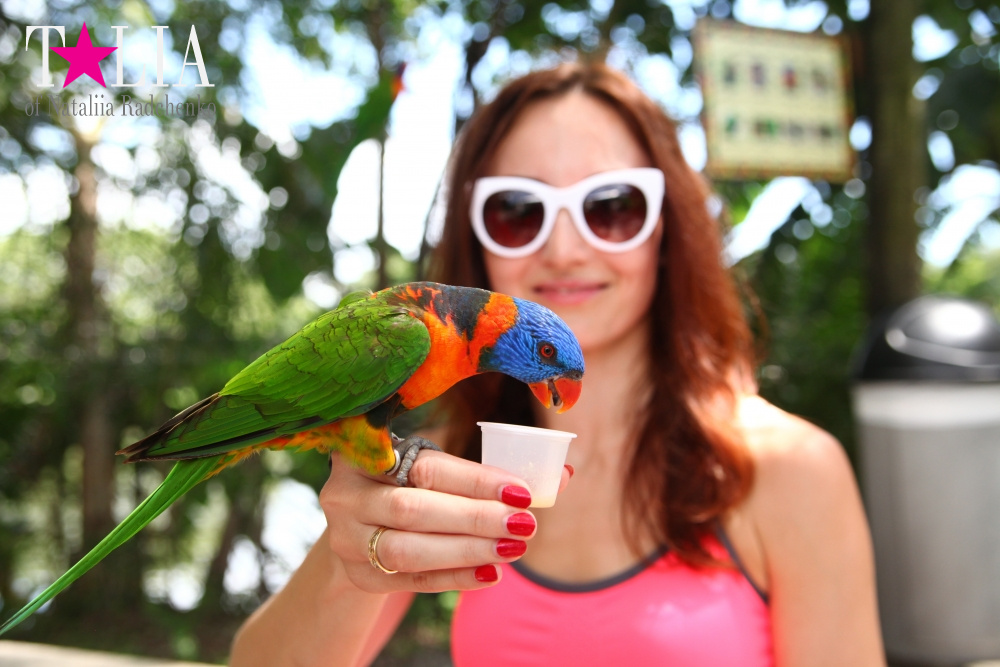 Кормление попугаев в сафари-парке Страна Львов, Майами, Флорида
