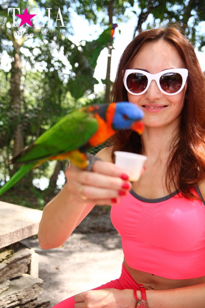 Кормление попугаев в сафари-парке Страна Львов, Майами, Флорида