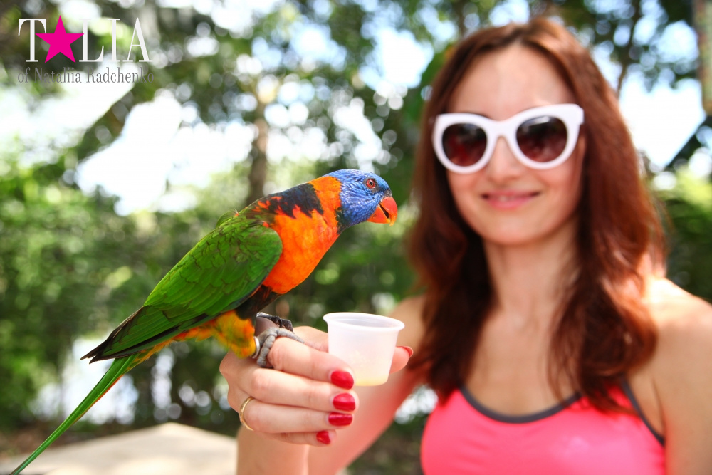 Кормление попугаев в сафари-парке Страна Львов, Майами, Флорида