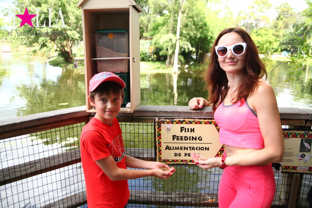 Катание на лодке вокруг Острова обезьян в Стране Львов, Флорида