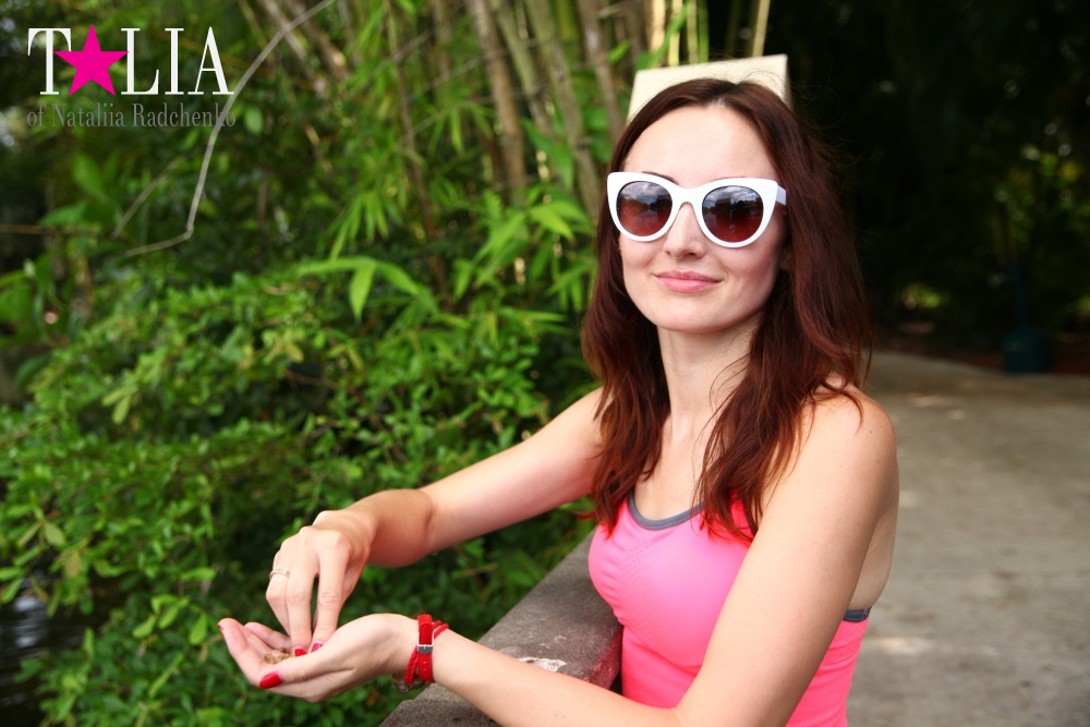 Катание на лодке вокруг Острова обезьян в Стране Львов, Флорида