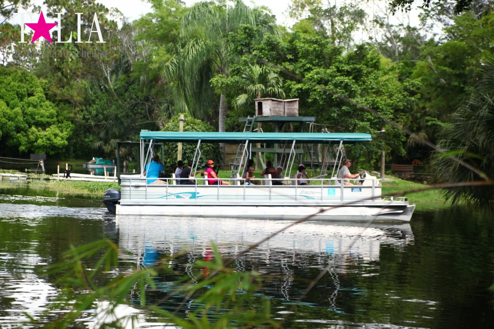 Катание на лодке вокруг Острова обезьян в Стране Львов, Флорида