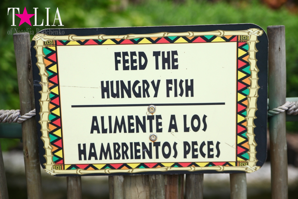 Катание на лодке вокруг Острова обезьян в Стране Львов, Флорида