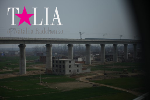 Скоростной поезд Пекин-Шанхай ''идет'' на высоте пятиэтажного здания.