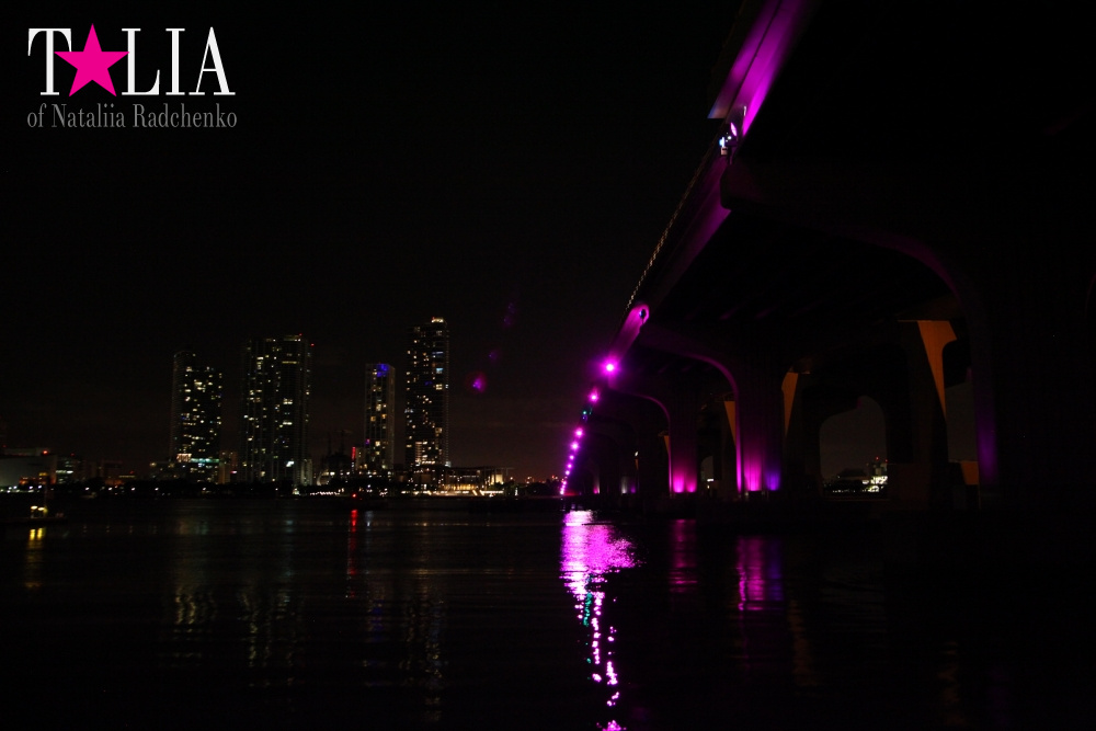 Скайлайн Майами (Skyline Miami)