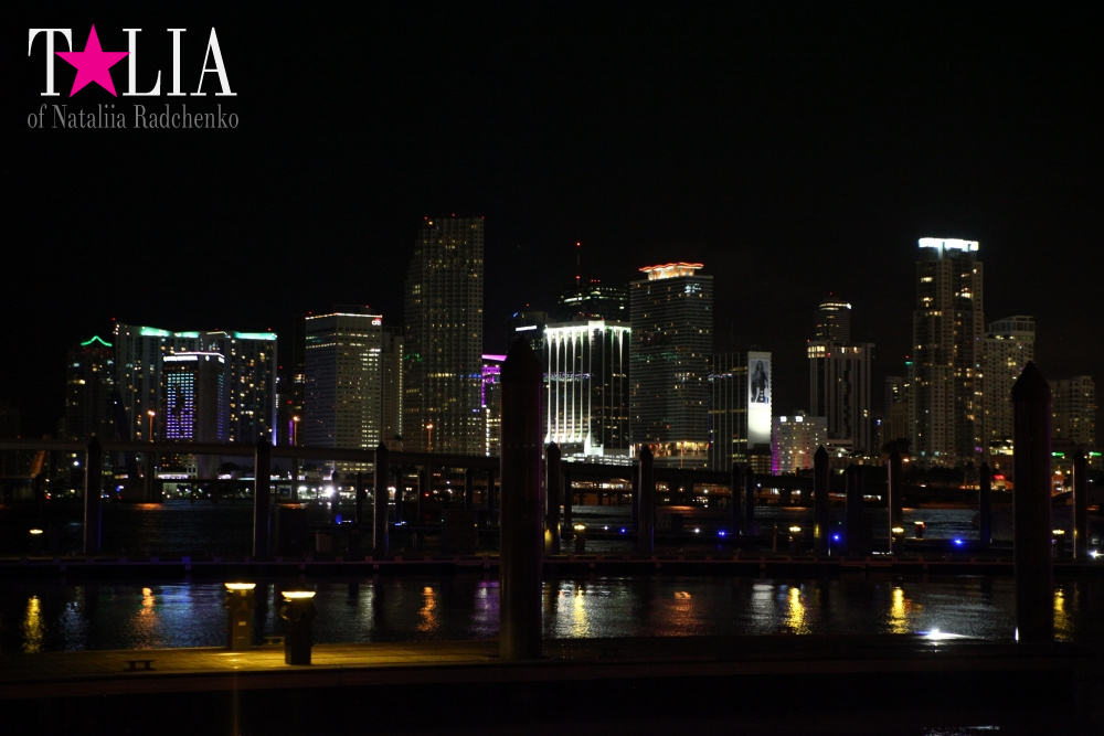 Скайлайн Майами (Skyline Miami)