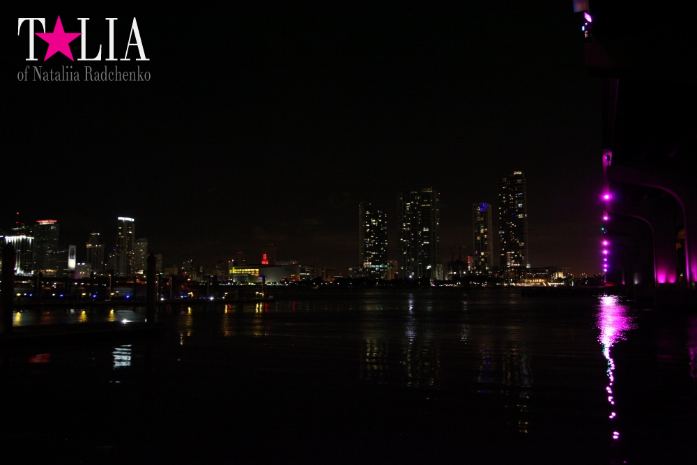 Скайлайн Майами (Skyline Miami)