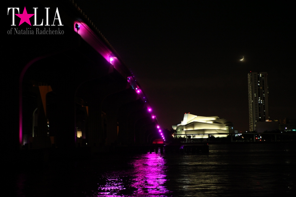 Скайлайн Майами (Skyline Miami)