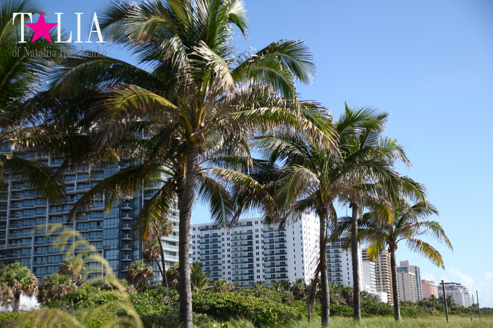 Наш отдых на Майами Бич (Miami Beach)