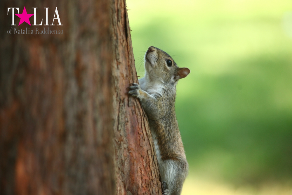 Мои СЛАДКИЕ 33! Мой День рождения!