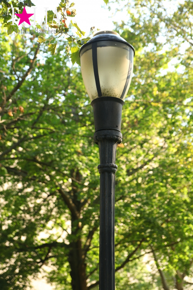 Мои СЛАДКИЕ 33! Мой День рождения!