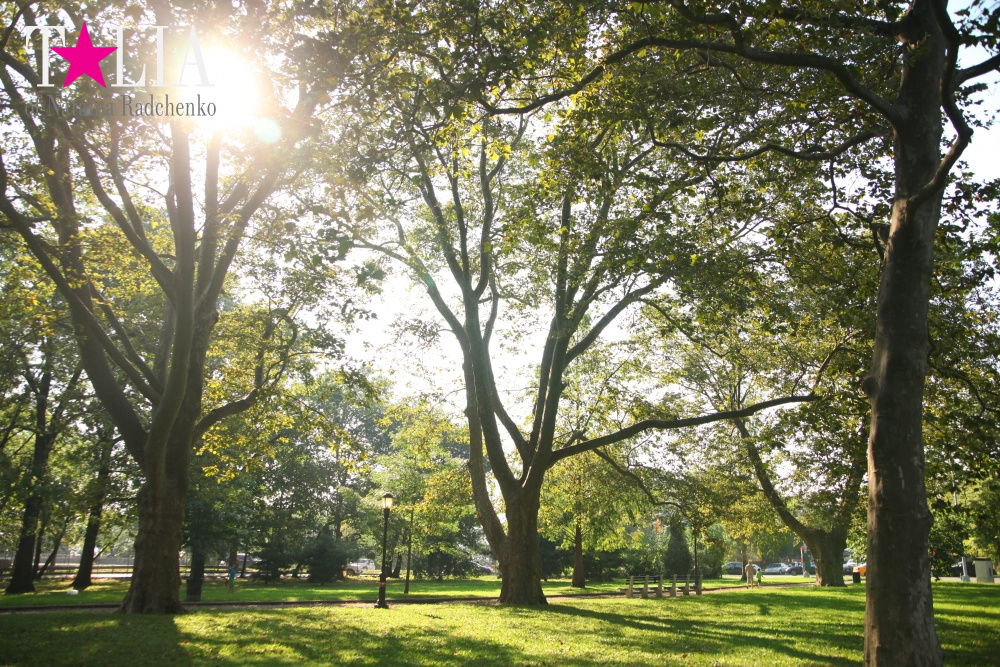 Мои СЛАДКИЕ 33! Мой День рождения!