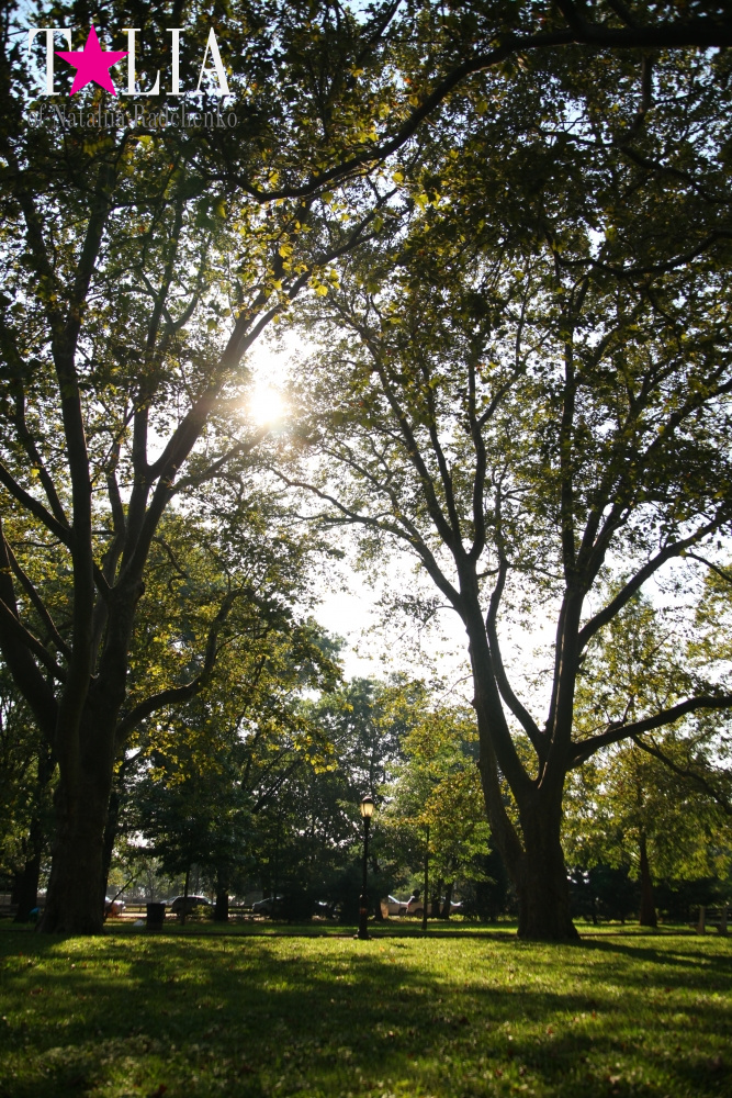 Мои СЛАДКИЕ 33! Мой День рождения!