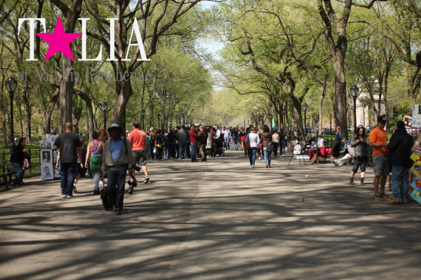 Развлечения в Центральном Парке Нью-Йорка