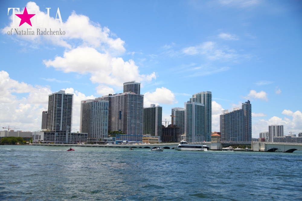 Скайлайн Майами (Skyline Miami)