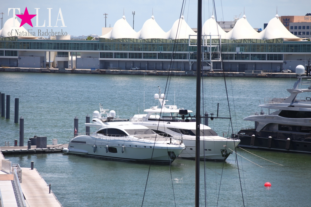 Скайлайн Майами (Skyline Miami)