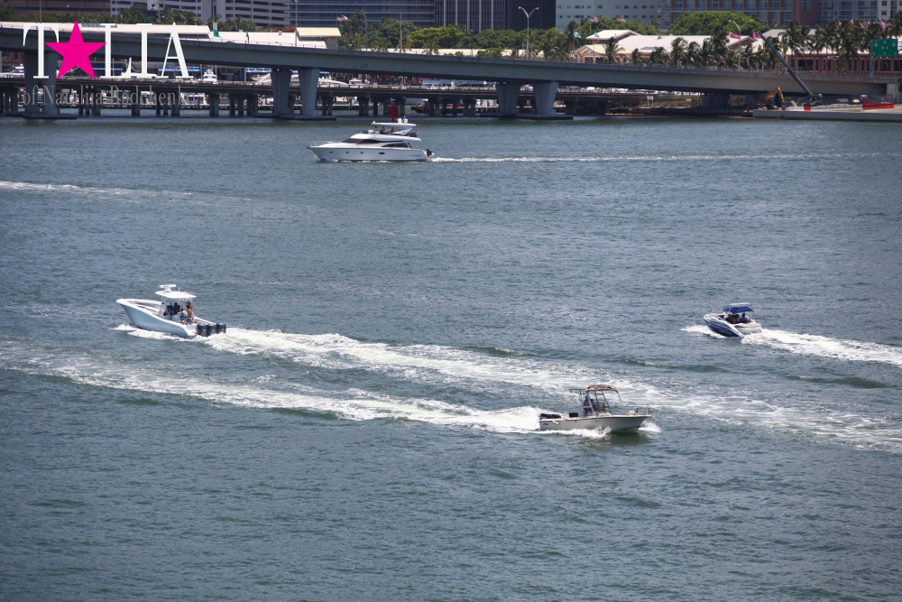 Скайлайн Майами (Skyline Miami)