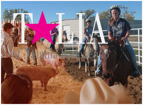 Детский дом в США (Mountain States Children’s Home)