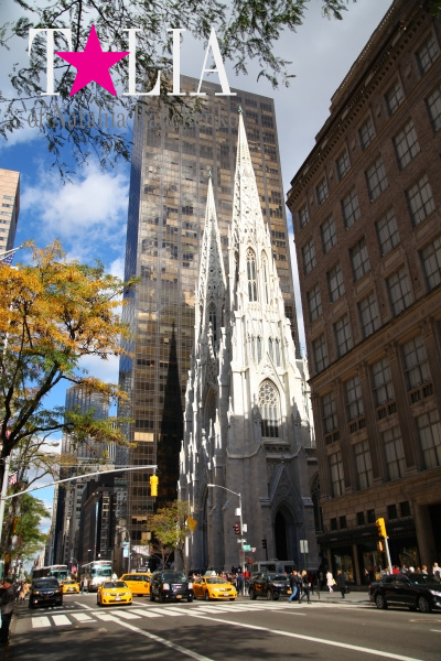 Собор Святого Патрика Нью-Йорк (St. Patrick's Cathedral)