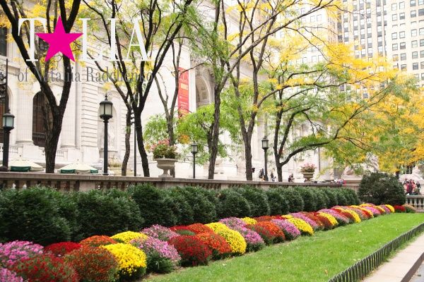 Нью-Йоркская Публичная библиотека осенью, Манхэттен, Нью-Йорк, США