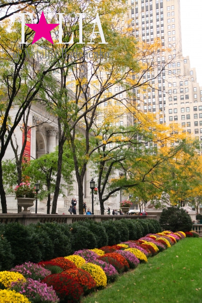 Нью-Йоркская Публичная библиотека осенью, Манхэттен, Нью-Йорк, США