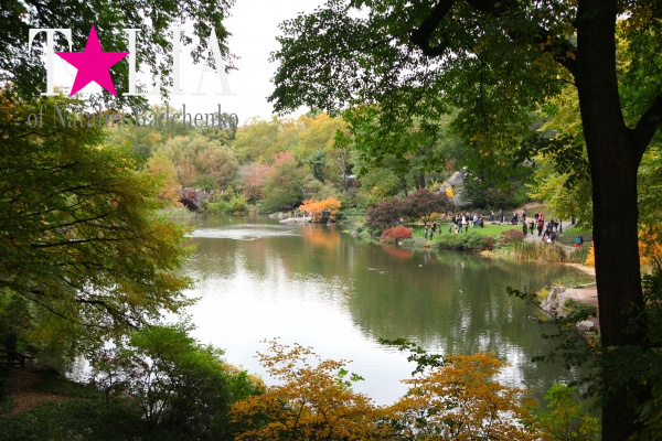 Центральный парк осенью, Манхэттен, Нью-Йорк, США