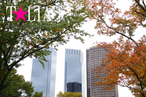 Центральный парк осенью, Манхэттен, Нью-Йорк, США