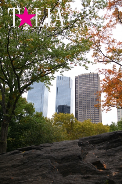 Центральный парк осенью, Манхэттен, Нью-Йорк, США