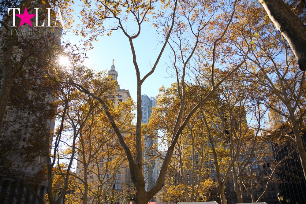 Нижний Манхэттен (Lower Manhattan)