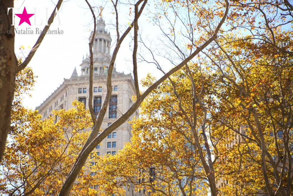 Нижний Манхэттен (Lower Manhattan)