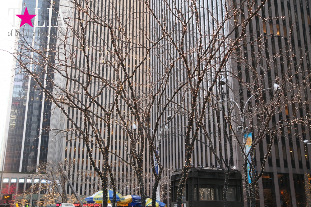 Новогодний Нью-Йорк 2016!