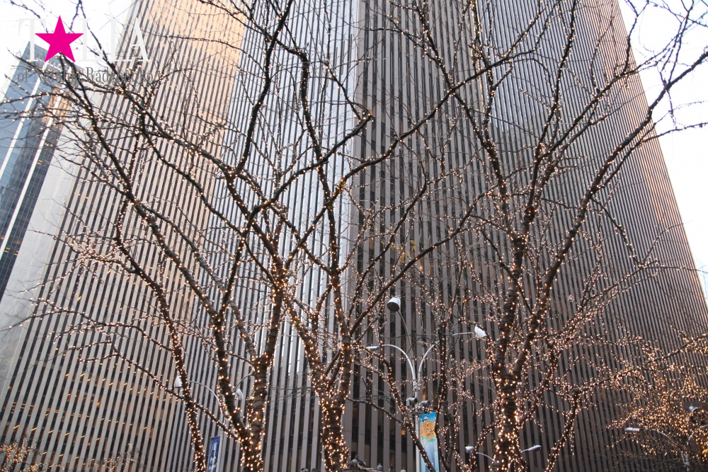 Новогодний Нью-Йорк 2016!