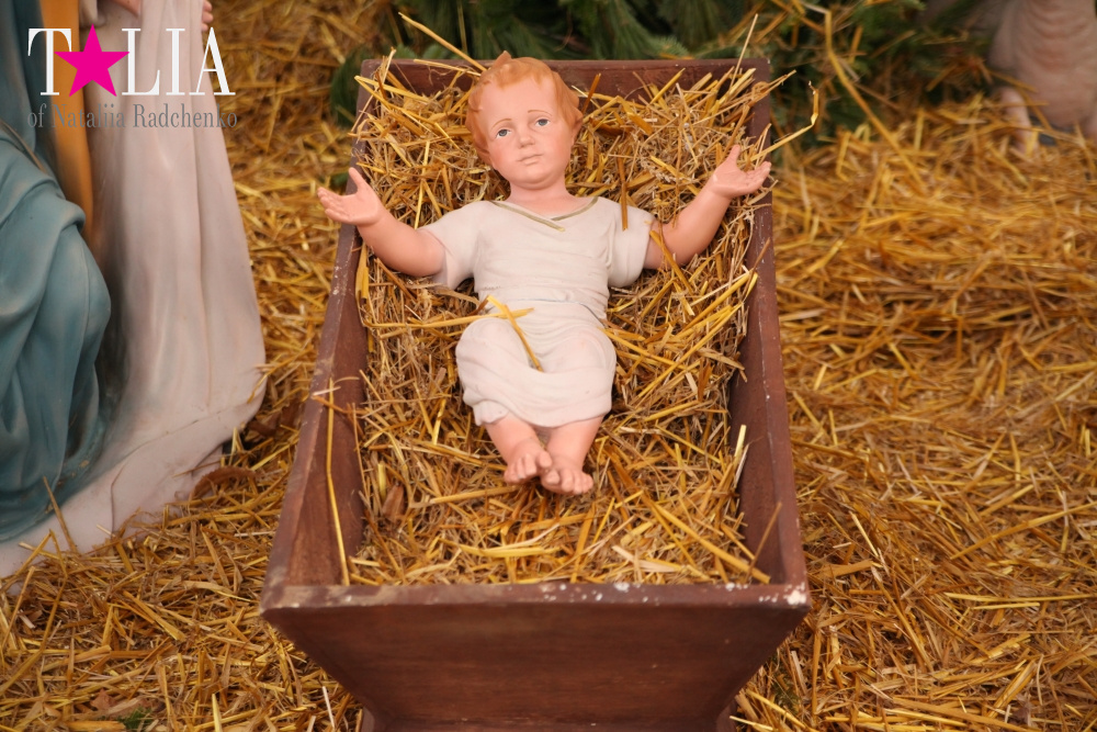 Собор Святого Патрика в Бруклине на Рождество. Бей Ридж