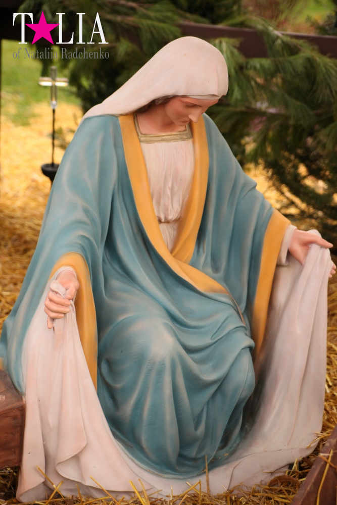 Собор Святого Патрика в Бруклине на Рождество. Бей Ридж