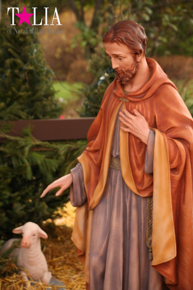 Собор Святого Патрика в Бруклине на Рождество. Бей Ридж