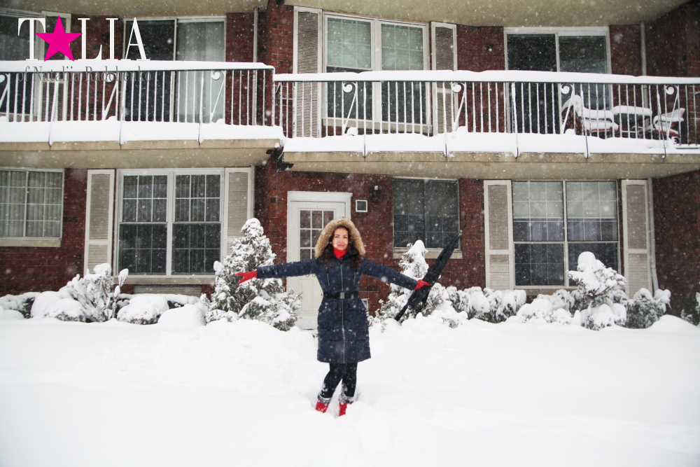 Снежный Шторм в Нью-Йорке 23 января 2016