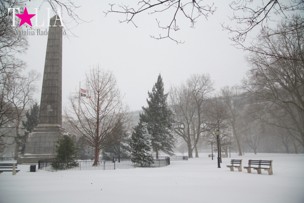 Снежный Шторм в Нью-Йорке 23 января 2016