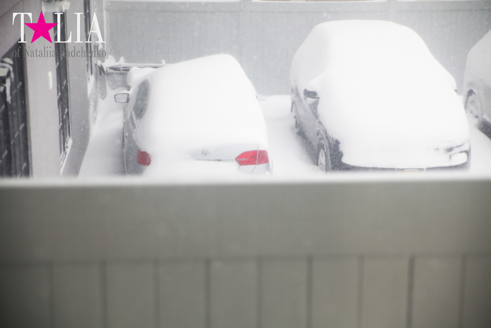 Фотографии из нашего окна. Снежный Шторм в Нью-Йорке 23 января 2016