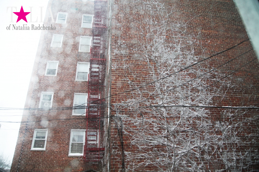 Фотографии из нашего окна. Снежный Шторм в Нью-Йорке 23 января 2016
