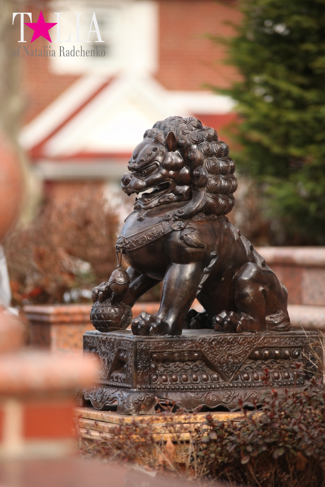 Как готовятся к Дню Святого Валентина в Америке?