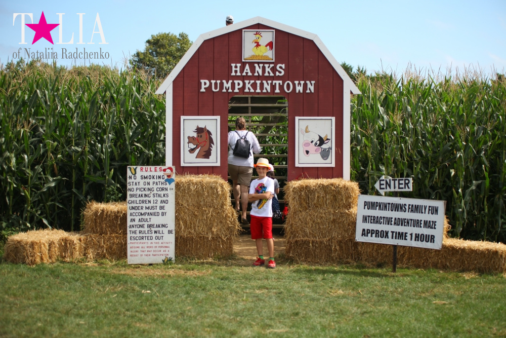 Кукурузный лабиринт и катание в бочках в HANK'S PUMPKINTOWN, the Hamptons, NY