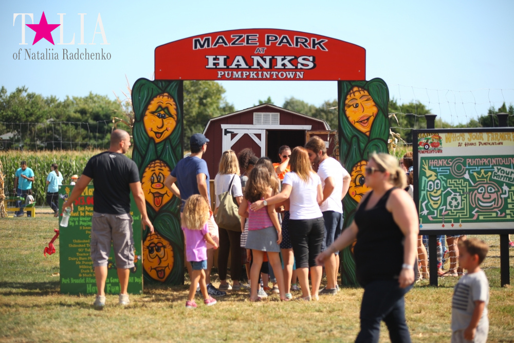 Кукурузный лабиринт и катание в бочках в HANK'S PUMPKINTOWN, the Hamptons, NY